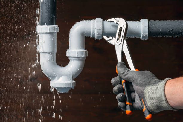 Professional Plumbing technician working in Adell, WI